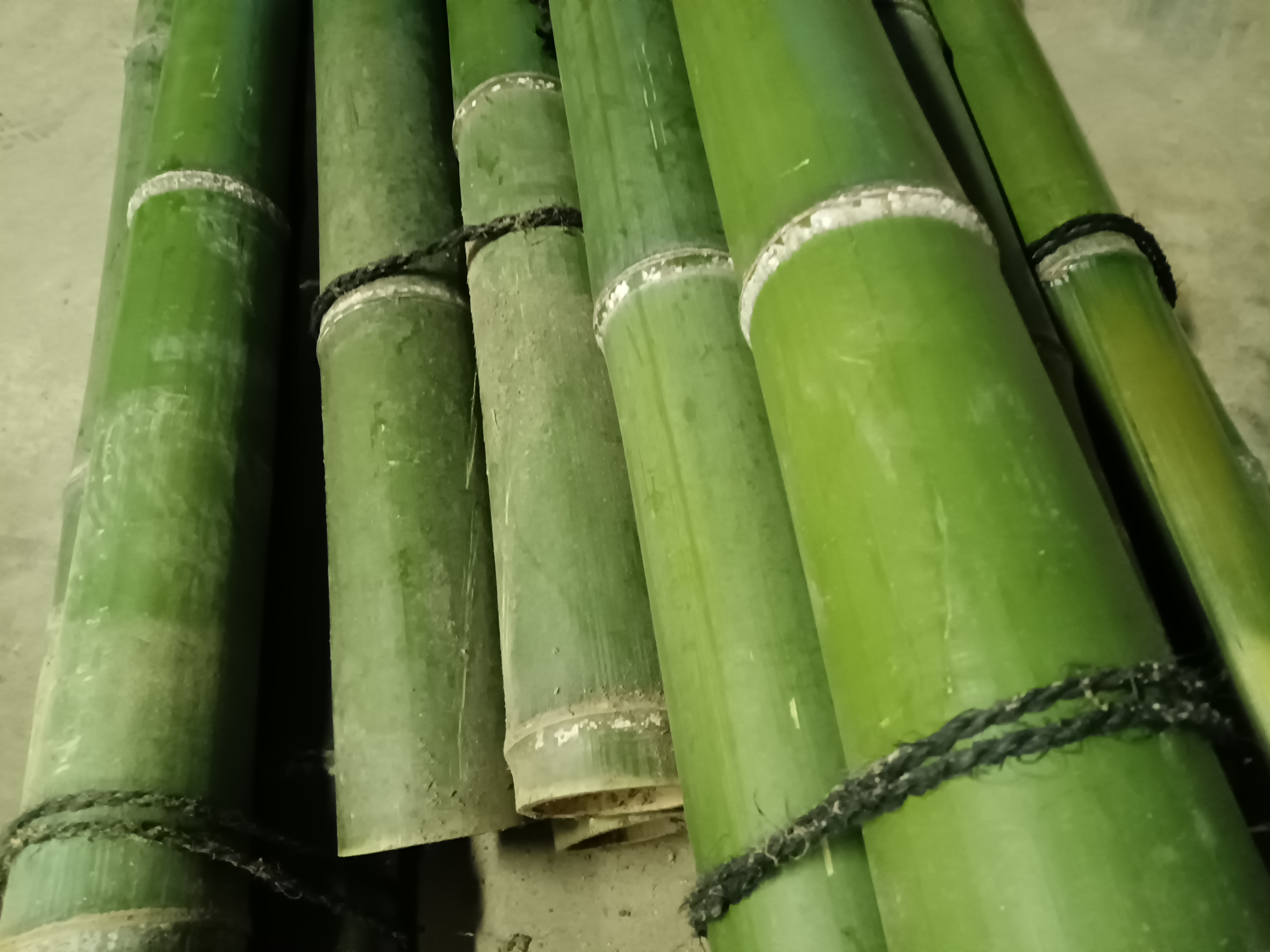 Bamboo construction material